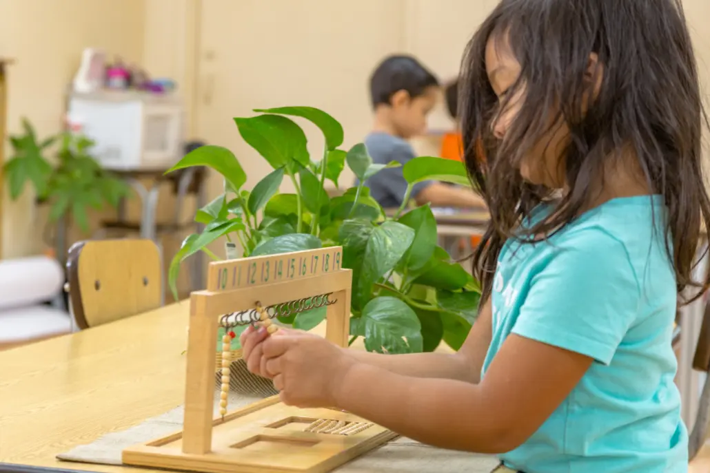 Montessori Programs